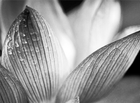 在线短信轰炸网页版