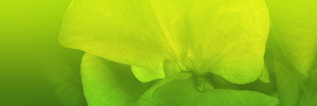 短信轰炸网页版